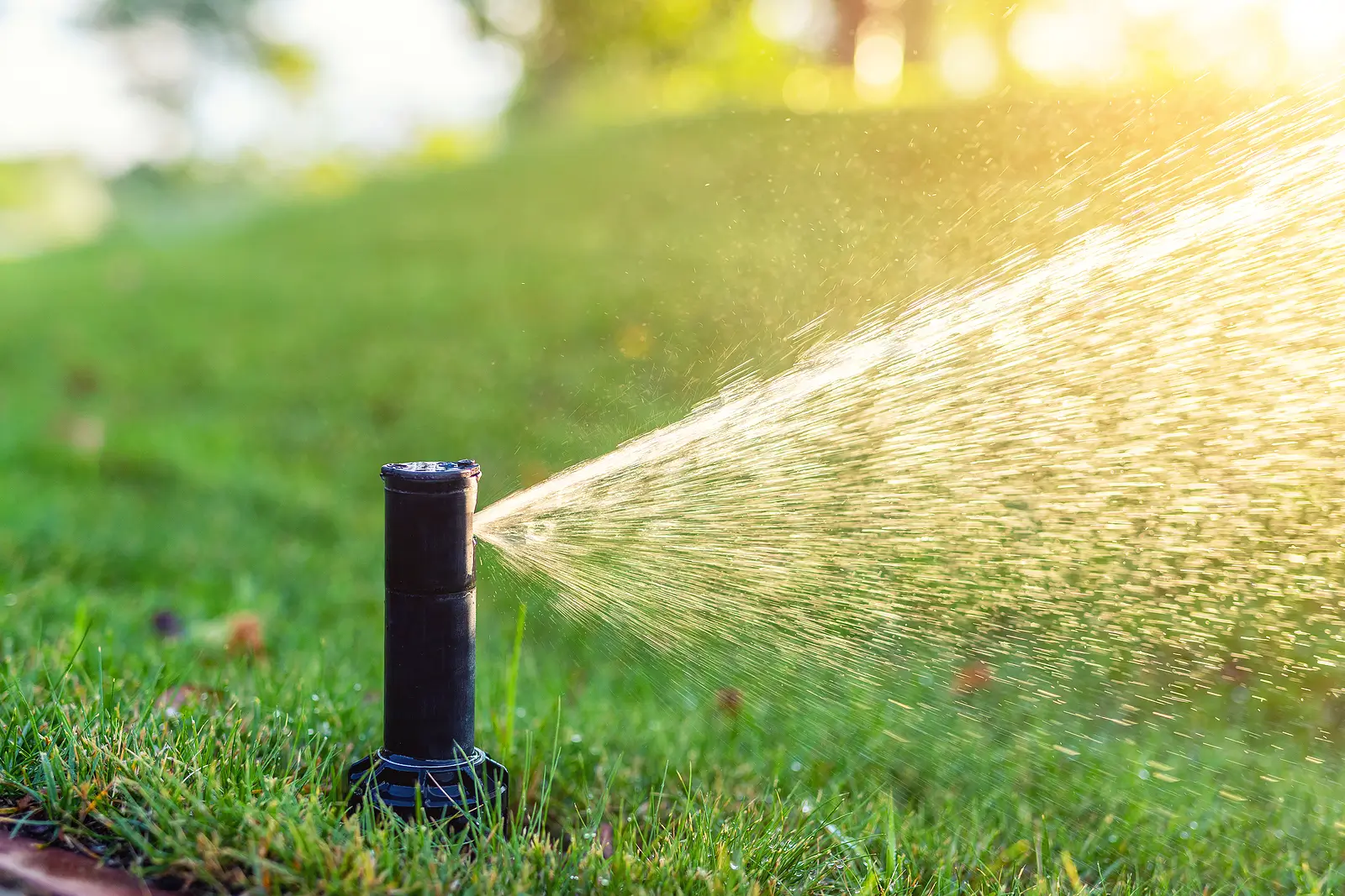 Smart Sprinkler Systems: How Hampton Landlords Can Save Water and Reduce Costs