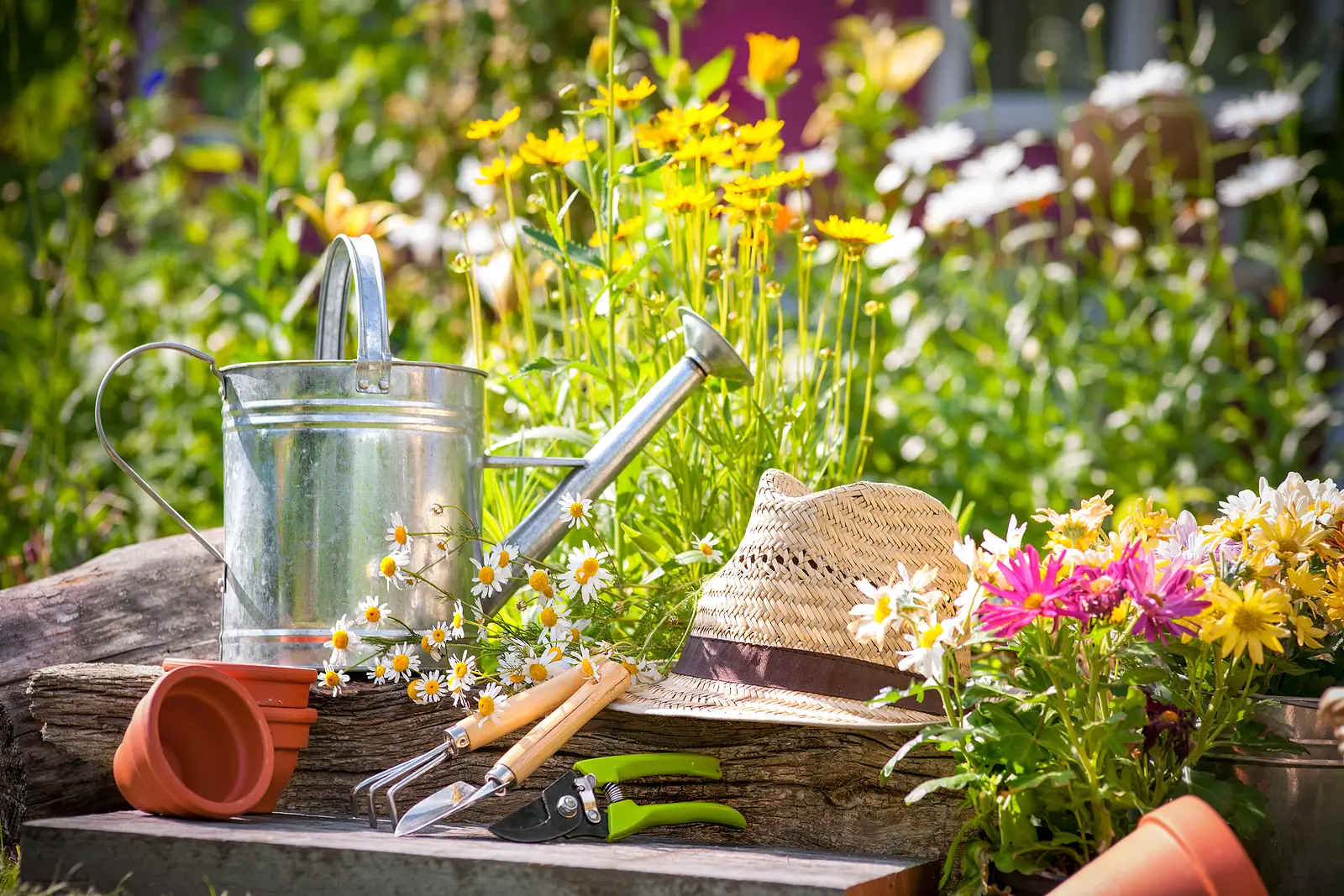 Landlord Tips: How to Create Tenant-Friendly Gardens in Hampton Roads